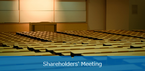 Shareholders' Meeting