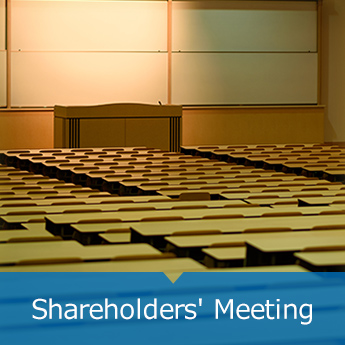 Shareholders' Meeting