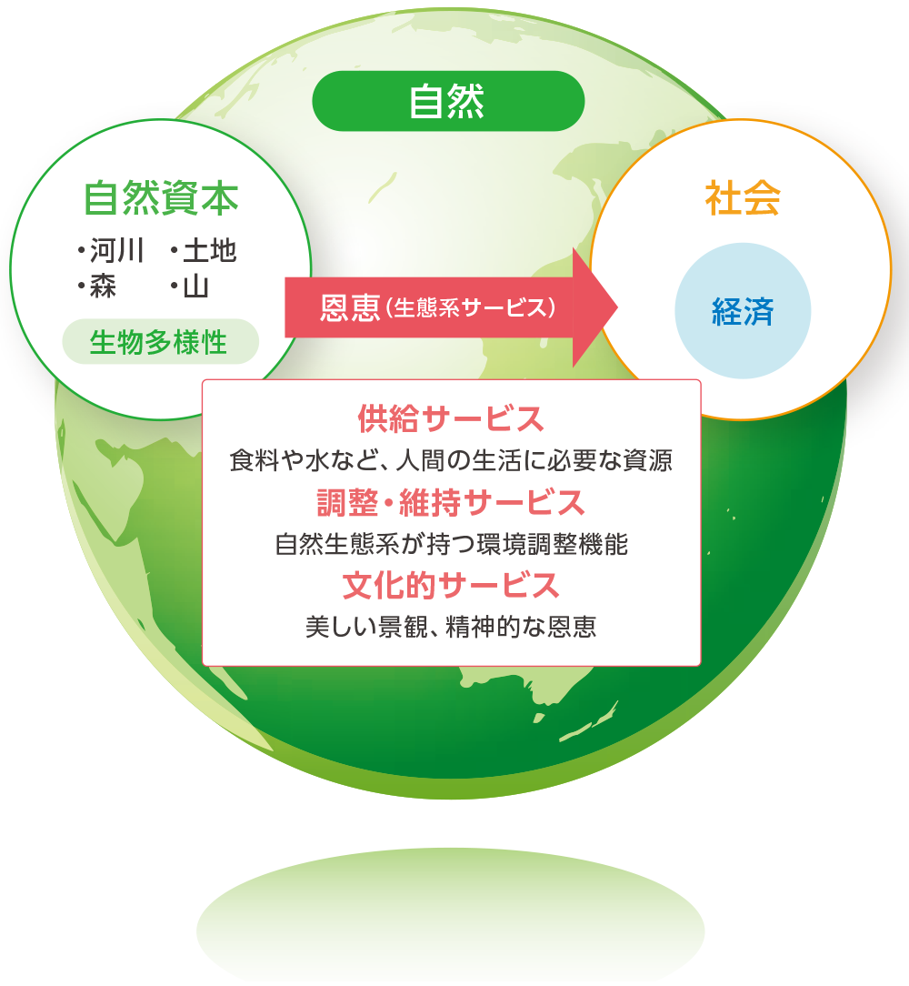 移行リスク